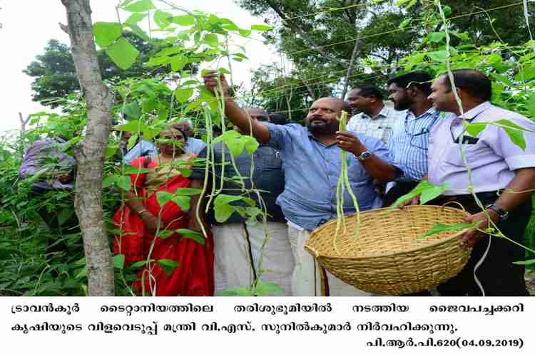 Agriculture Minister V.S. Sunil Kumar inaugurating  organic harvesting