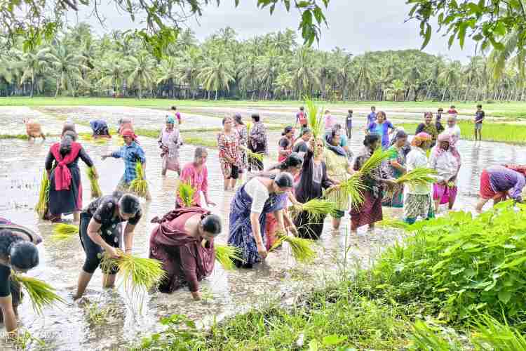 കുടുംബശ്രീ കണ്ണൂർ ജില്ലാ മിഷന്റെയും പാപ്പിശ്ശേരി സിഡിഎസിന്റെയും നേതൃത്വത്തിൽ നടന്ന മഴപ്പൊലിമ  പാപ്പിനിശ്ശേരി ഗ്രാമപഞ്ചായത്ത് പ്രസിഡന്റ് എം വി സുശീല ഉദ്ഘാടനം ചെയ്യുന്നു