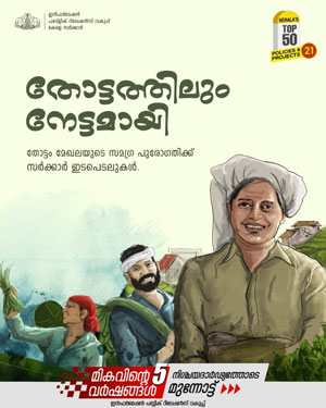 തോട്ടം മേഖലയിൽ ഫലപ്രദമായ നടപടികൾ