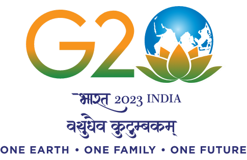 G20