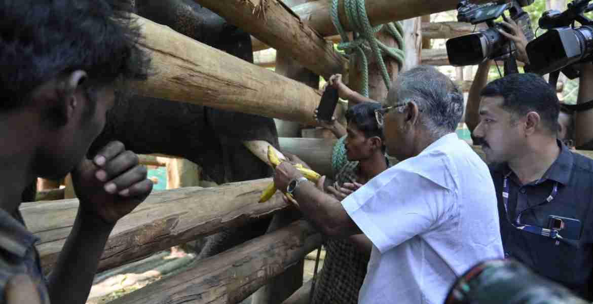 ഫോട്ടോ-വനം-വന്യജീവി വകുപ്പ് മന്ത്രി എ.കെ ശശീന്ദ്രന്‍ ധോണിയില്‍ എത്തി ധോണി(പി. ടി -7)യെ സന്ദര്‍ശിക്കുന്നു.