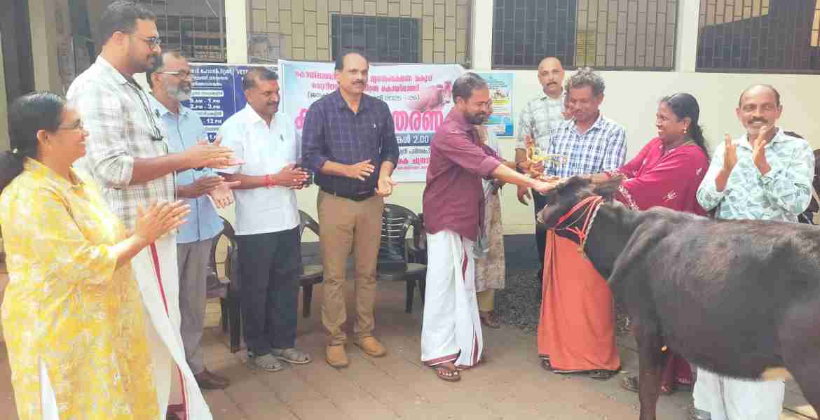 കൊയിലാണ്ടി നഗരസഭ കിടാരി വിതരണോദ്ഘാടനം നഗരസഭ ചെയർപേഴ്സൺ യു കെ ചന്ദ്രൻ നിർവഹിക്കുന്നു