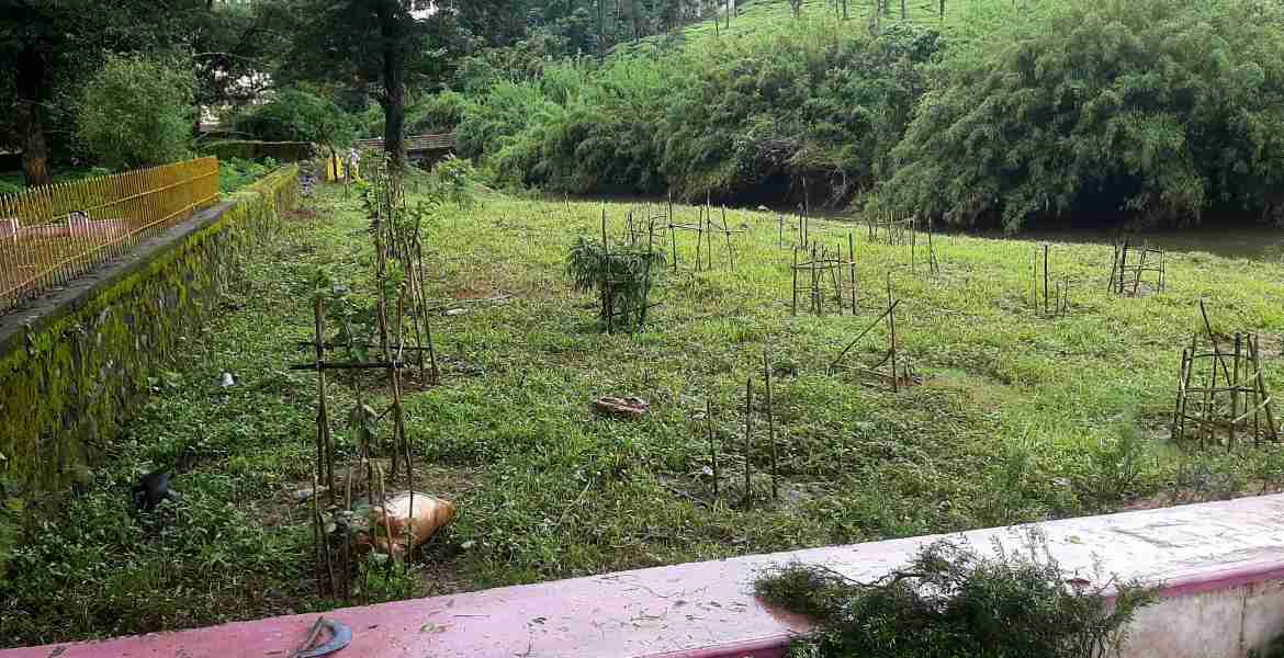 ജൈവവൈവിധ്യ പാര്‍ക്കുകള്‍