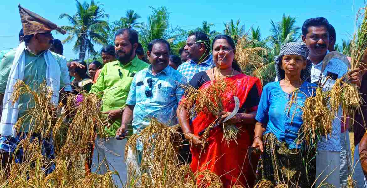 കൊയ്ത്ത് ഉത്സവം