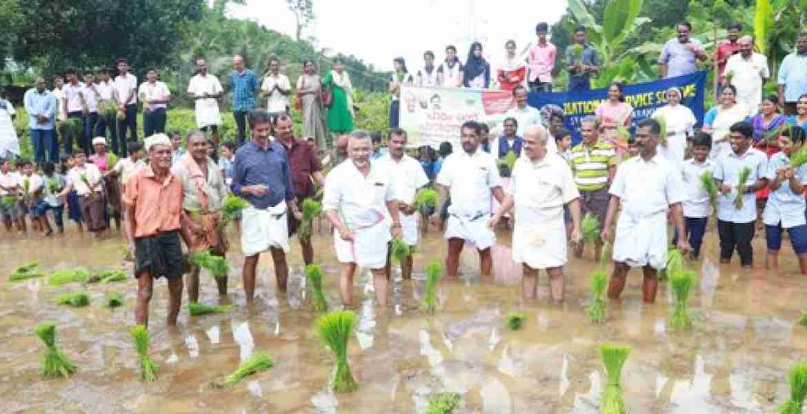 പാഠം ഒന്ന്  എല്ലാവരും പാടത്തേക്ക് പരിപാടി അറക്കുളം ഗ്രാമപഞ്ചായത്ത് പ്രസിഡന്റ് ടോം ജോസ് കുന്നേല്‍ ഉദ്ഘാടനം ചെയ്യുന്നു.