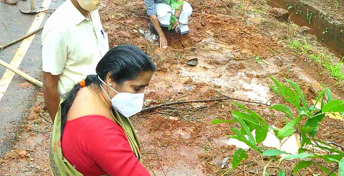 കാസര്‍കോട് വിദ്യാനഗറിലെ മാതൃകാ വീഥിയില്‍ ജില്ലാ പഞ്ചായത്ത് പ്രസിഡന്റ് ബേബി ബാലകൃഷ്ണന്‍ അശോക മരം നടുന്നു