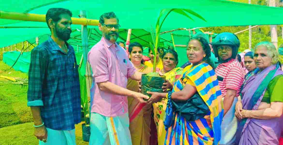 തെങ്ങിന്‍തൈ വിതരണം ഇരവിപേരൂര്‍ ഗ്രാമപഞ്ചായത്ത് പ്രസിഡന്റ് കെ ബി ശശിധരന്‍ പിള്ള നിര്‍വഹിക്കുന്നു