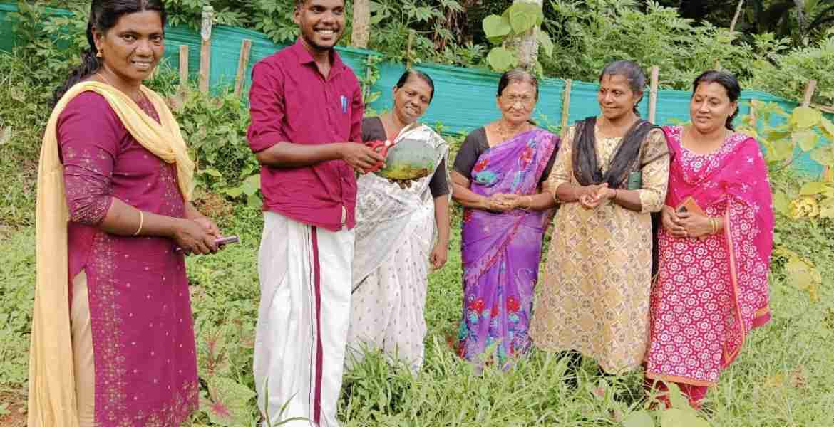 തണ്ണിമത്തന്‍ കൃഷി വിളവെടുപ്പ് ഉദ്ഘാടനം ഗ്രാമപഞ്ചായത്ത് പ്രസിഡന്റ് ബിനു ജോസഫ് നിര്‍വഹിക്കുന്നു