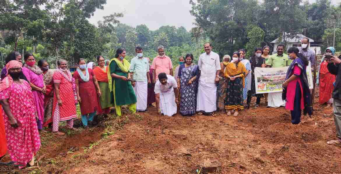 ഒരു പഞ്ചായത്തിൽ ഒരു കൃഷിയിടം പദ്ധതിയുടെ ഭാഗമായി മണീട് പഞ്ചായത്തിൽ കൃഷി ആരംഭിച്ചപ്പോൾ