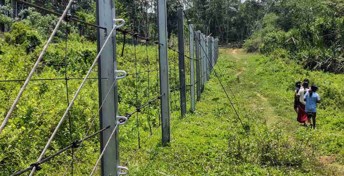 മാനന്തവാടി, കൂടൽക്കടവ് മുതൽ പാൽവെളിച്ചം വരെ നിർമിച്ച ക്രാഷ് ഗാർഡ് റോപ്പ് ഫെൻസിങ്