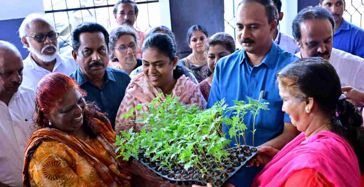 'ഓണത്തിന് ഒരു കൊട്ടപ്പൂവ്'; ചെണ്ടുമല്ലി തൈകകൾ വിതരണം ചെയ്തു 