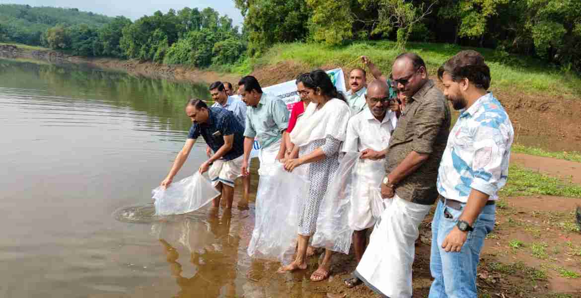 ഒരു ലക്ഷം മത്സ്യക്കുഞ്ഞുങ്ങളെ നിക്ഷേപിച്ചു