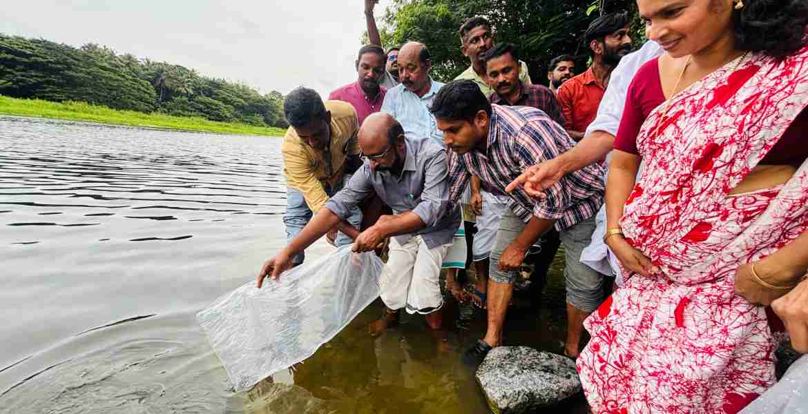 മത്സ്യ കുഞ്ഞുങ്ങളെ നിക്ഷേപിക്കുന്ന പദ്ധതി