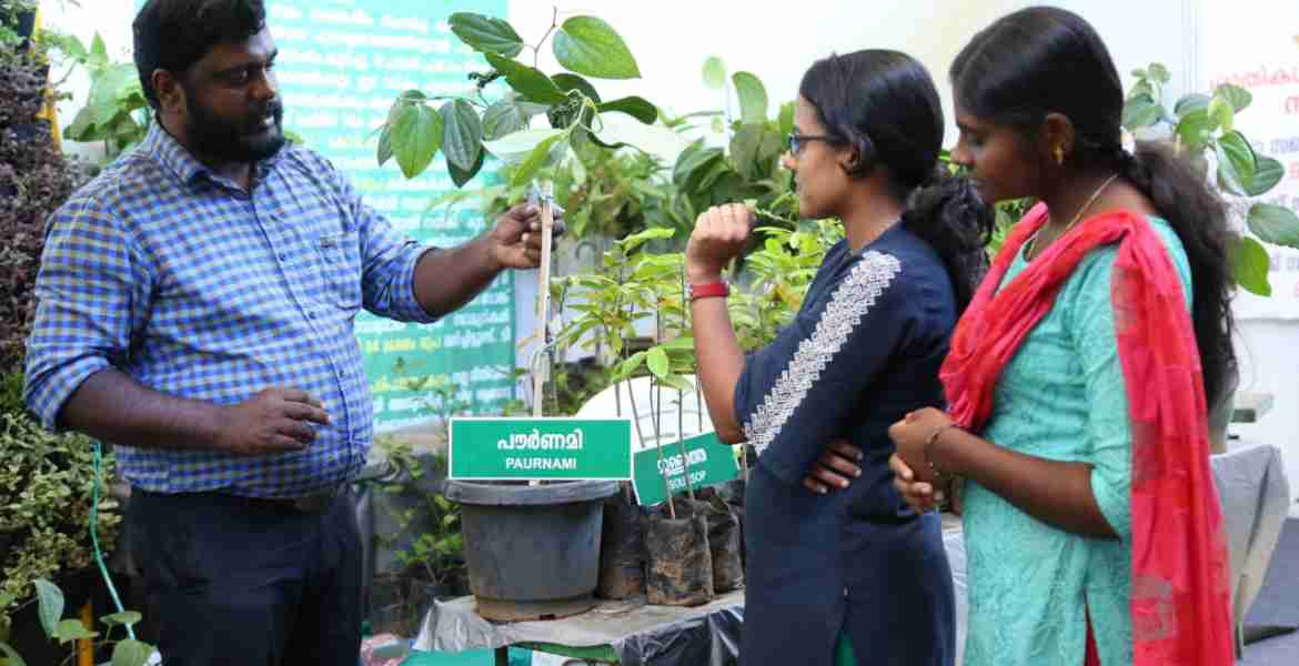 കൃഷി വകുപ്പിന്റെ സ്റ്റോളില് വില്പ്പനയ്ക്കുള്ള പൗര്ണമി ബുഷ് കുരമുളക് ചെടി.