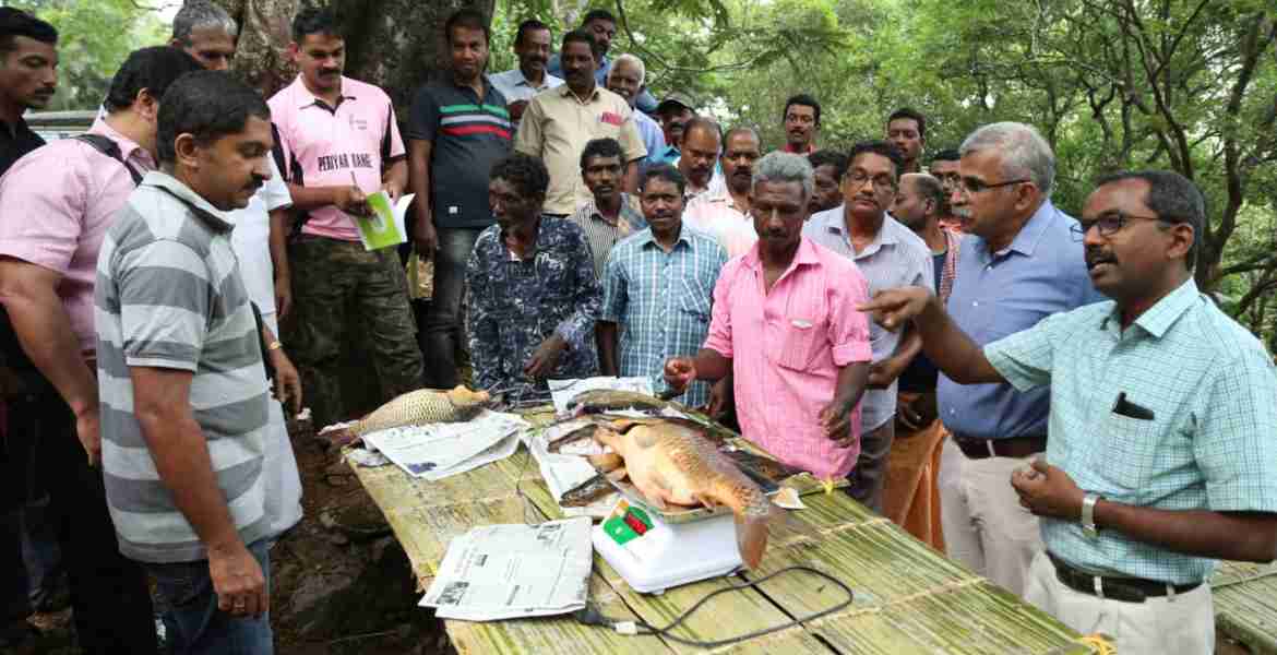 വെള്ളാപ്പാറയില്‍ വനംവന്യജീവി വകുപ്പ് മത്‌സ്യാരണ്യകം പദ്ധതി  ഡി എഫ് ഒ സാബി വര്‍ഗീസ് ഉദ്ഘാടനം ചെയ്തു സംസാരിക്കുന്നു.