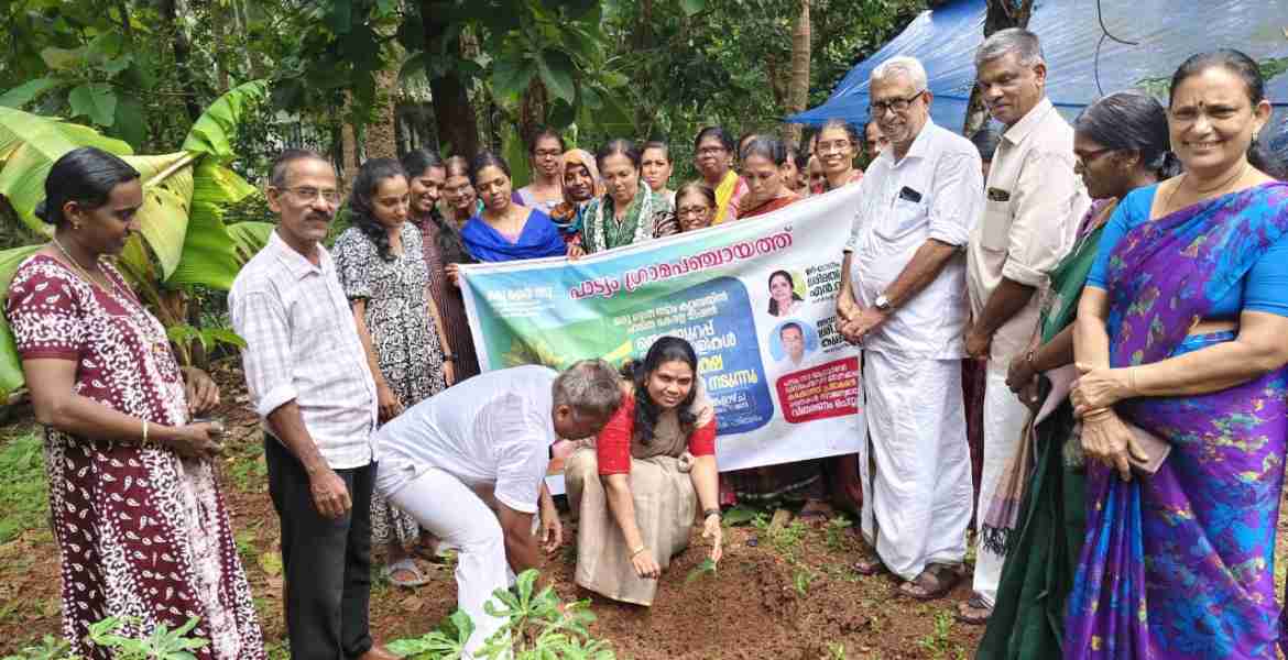ഒരു തൈ നടാം ക്യാമ്പയിനിന്റെ ഭാഗമായി ഫലവൃക്ഷത്തൈകളുടെ പഞ്ചായത്ത്‌ തല നടീൽ ഉദ്ഘാടനം പാട്യം പഞ്ചായത്ത്‌ പ്രസിഡന്റ്‌ എൻ വി ഷിനിജ നിർവഹിക്കുന്നു