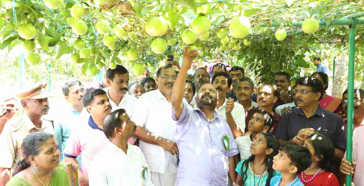 തില്ലങ്കേരിയില്‍ പാഷന്‍ ഫ്രൂട്ട് ഗ്രാമത്തിന്റെ വിളവെടുപ്പ് ഉദ്ഘാടനം മന്ത്രി വി എസ് സുനില്‍ കുമാര്‍ നിര്‍വഹിക്കുന്നു