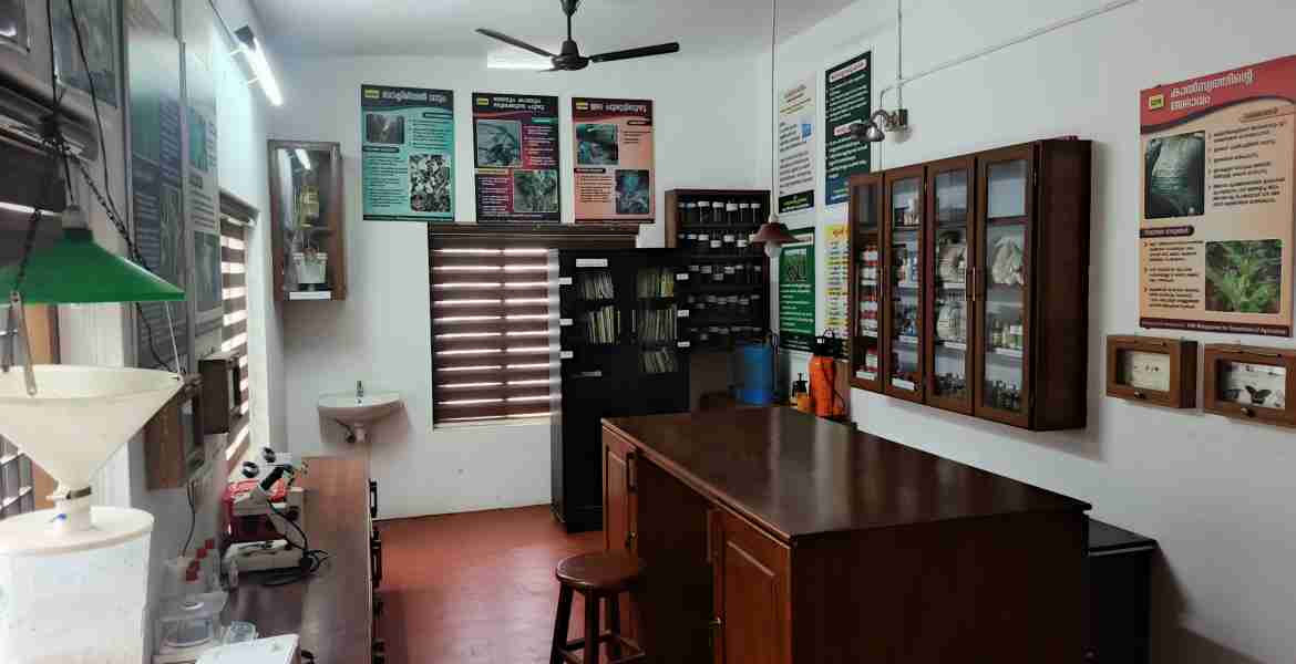 ചെറുതാഴം പഞ്ചായത്ത്‌ ഹൈടെക് കൃഷിഭവനിലെ സസ്യക്ലിനിക്