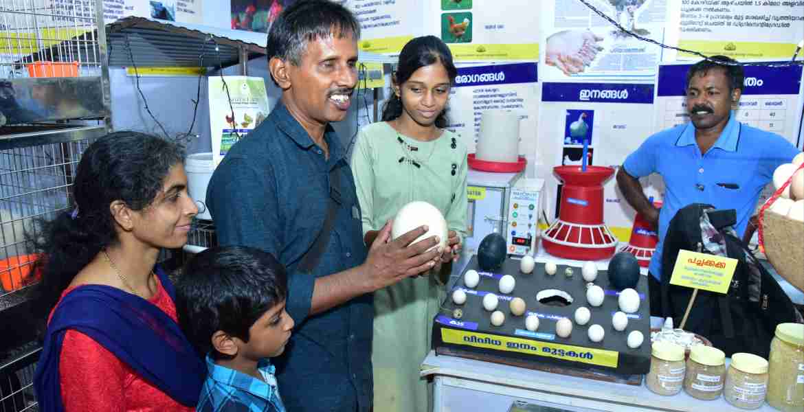 നുച്യാട് യു പി സ്‌കൂളിലെ അധ്യാപകനായ നെല്ലിക്കാംപൊയിൽ സ്വദേശി പി എ വർക്കിയും ഭാര്യ ജെസി മാത്യുവും മക്കളും 'എന്റെ കേരളം' മേളയിൽ മൃഗസംരക്ഷണ വകുപ്പിന്റെ മേഖലാ കോഴി വളർത്തുകേന്ദ്രം സ്റ്റാളിൽ