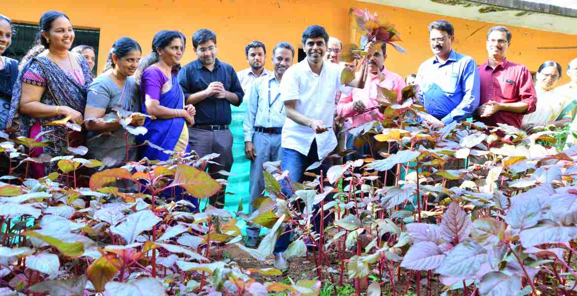 ദാരിദ്ര്യ ലഘൂകരണ വിഭാഗം ഓഫീസ് ജീവനക്കാക്കാർ കളക്ട്രേറ്റ് വളപ്പിൽ  ഒരുക്കിയ ജൈവകൃഷി ജില്ലാ കളക്ടർ ടിവി സുഭാഷ് വിളവെടുപ്പ് നടത്തി ഉദ്ഘാടനം ചെയ്യുന്നു
