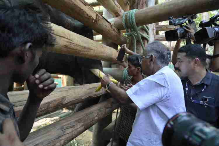 ഫോട്ടോ-വനം-വന്യജീവി വകുപ്പ് മന്ത്രി എ.കെ ശശീന്ദ്രന്‍ ധോണിയില്‍ എത്തി ധോണി(പി. ടി -7)യെ സന്ദര്‍ശിക്കുന്നു.