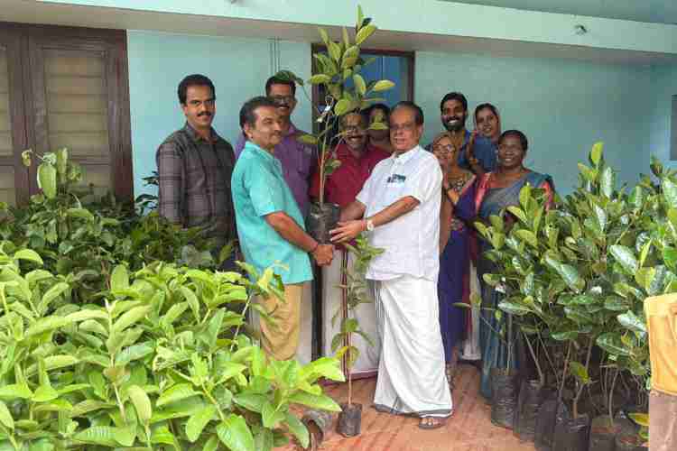 പനങ്ങാട് ഗ്രാമപഞ്ചായത്ത് വാർഷിക പദ്ധതി യിലുൾപ്പെടുത്തി നൽകുന്ന ഫലവൃക്ഷത്തൈവിതരണം ഉദ്ഘാടനം ഗ്രാമപഞ്ചായത്ത് പ്രസിഡന്റ്‌ വി എം കുട്ടികൃഷ്ണൻ നിർവഹിക്കുന്നു