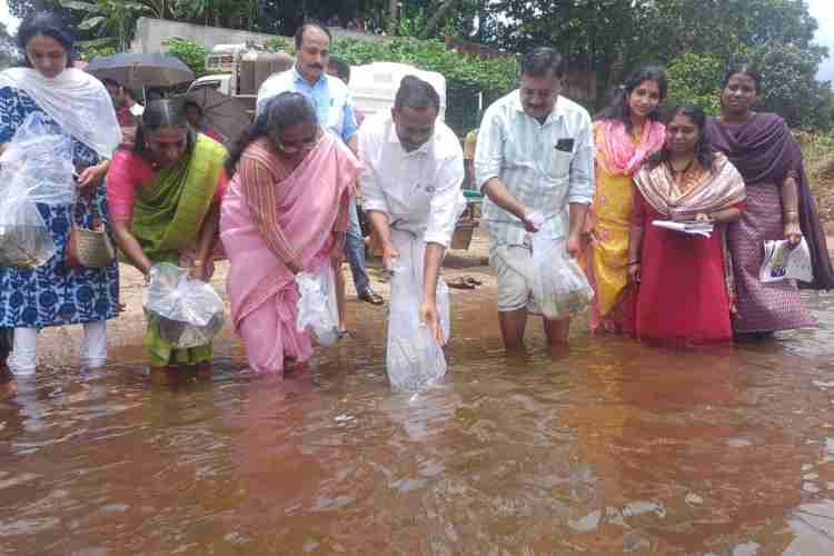 ഫിഷറീസ്