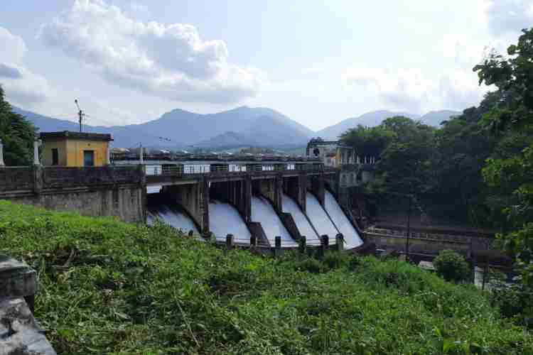 പോത്തുണ്ടി ഡാം ഉദ്യാനം, മംഗലം ഡാം ഉദ്യാനം