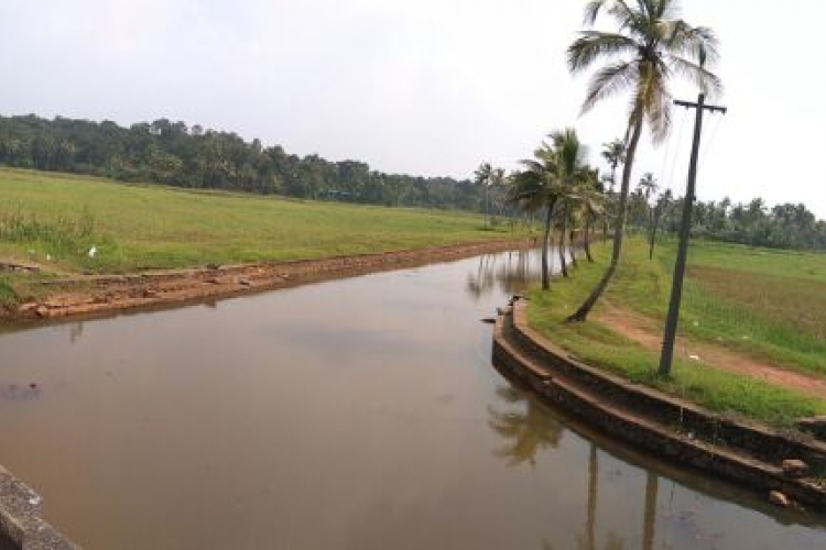 Thottarappuncha