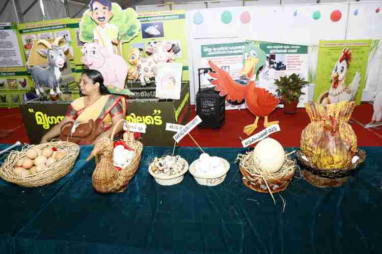  മണർകാട് കോഴി വളർത്തൽ കേന്ദ്രത്തിനു കീഴിൽ പ്രവർത്തിക്കുന്ന സ്രായിൽ എഗ്ഗർ നഴ്‌സറിയിൽ വിൽപനയ്ക്ക് വെച്ചിരിക്കുന്ന നാടൻ കോഴിമുട്ടകളും കോഴികളും