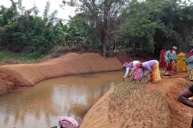 വാണിയംകുളം ഗ്രാമപഞ്ചായത്തില്‍ ആന്തൂര്‍ തോടില്‍ ആരംഭിച്ച കയര്‍ഭൂവസ്ത്ര സംരക്ഷണ പ്രവര്‍ത്തനം 