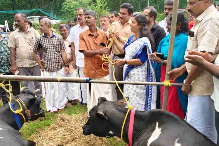 കഴിഞ്ഞദിവസം ഉണ്ടായ മലവെള്ളപ്പാച്ചിലിൽ പശുക്കളെ നഷ്ടമായ തീക്കോയി മേസ്തിരിപ്പടിയിലെ അനില്‍കുമാറിന് മന്ത്രി ബിന്ദു കൃഷ്ണ പശുക്കളെ കൈമാറുന്നു.