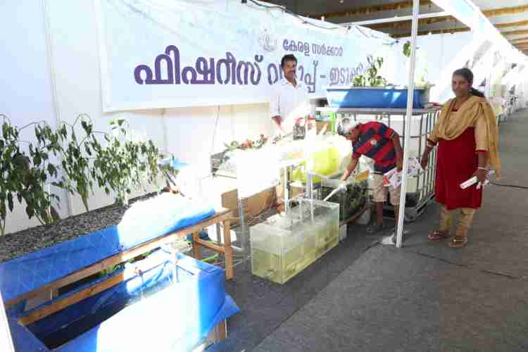 ഒരുസെന്റില് മല്സ്യകൃഷി പരിചയപ്പെടുത്തുന്ന ഫിഷറീസ് വകുപ്പിന്റെ സ്റ്റോള്