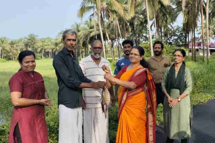 നല്ലോണം -മീനോണം' പരിപാടിയുടെ ഭാഗമായി പയ്യന്നൂർ മുനിസിപ്പാലിറ്റിയിൽ നടന്ന കരിമീൻ വിളവെടുപ്പ്