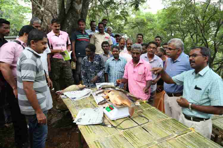 വെള്ളാപ്പാറയില്‍ വനംവന്യജീവി വകുപ്പ് മത്‌സ്യാരണ്യകം പദ്ധതി  ഡി എഫ് ഒ സാബി വര്‍ഗീസ് ഉദ്ഘാടനം ചെയ്തു സംസാരിക്കുന്നു.