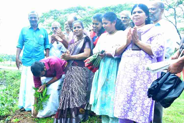 കണ്ണപുരം ഗ്രാമ പഞ്ചായത്തിൽ നടന്ന മുള വൽകരണത്തിന്റെ നടീൽ ഉദ്ഘാടനം   എം.വിജിൻ എം. എൽ. എ നിർവഹിക്കുന്നു.