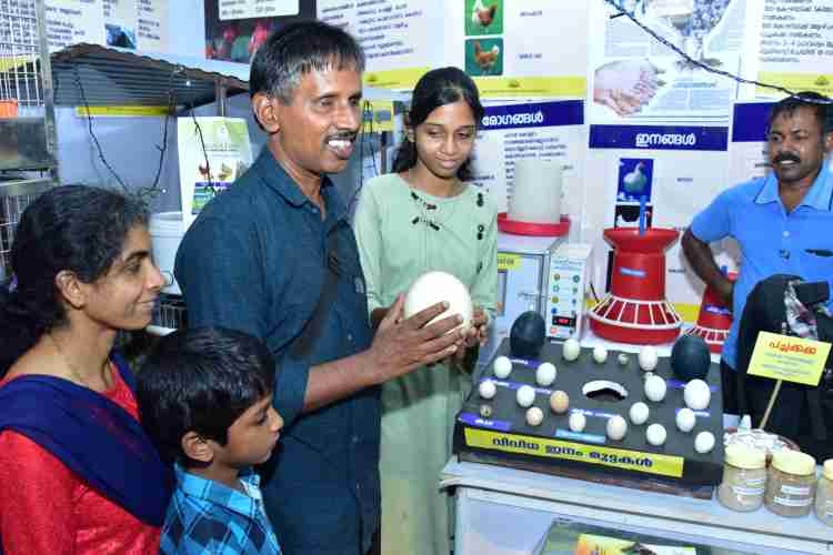 നുച്യാട് യു പി സ്‌കൂളിലെ അധ്യാപകനായ നെല്ലിക്കാംപൊയിൽ സ്വദേശി പി എ വർക്കിയും ഭാര്യ ജെസി മാത്യുവും മക്കളും 'എന്റെ കേരളം' മേളയിൽ മൃഗസംരക്ഷണ വകുപ്പിന്റെ മേഖലാ കോഴി വളർത്തുകേന്ദ്രം സ്റ്റാളിൽ