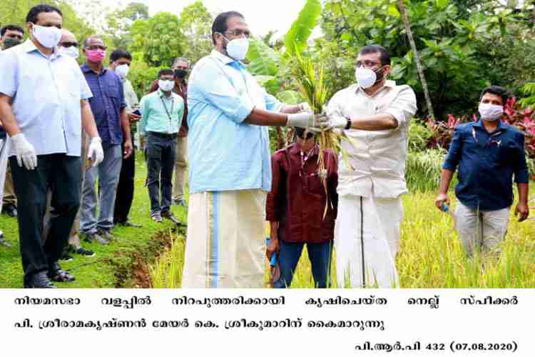 Speaker P. Sreeramakrishnan hands over a sheaf of paddy to Mayor K. Sreekumar for the ceremonial of Niraputhari during the 2020 Onam Festival in Kerala