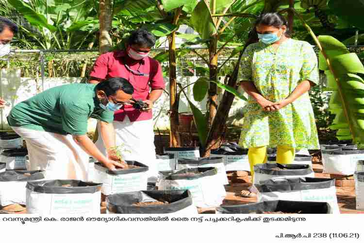 Minister K. Rajan plants vegetable seedlings at official residence
